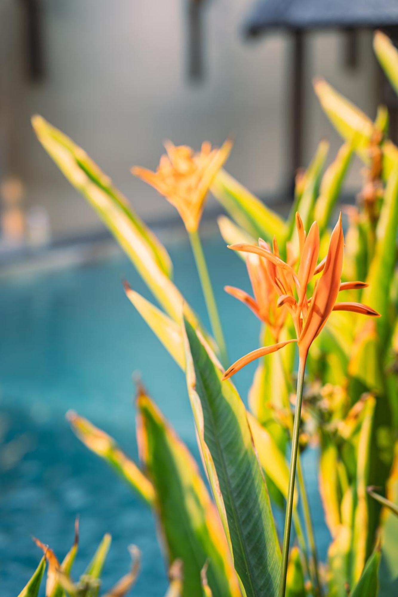 Gili Divers Hotel Quần đảo Gili Ngoại thất bức ảnh